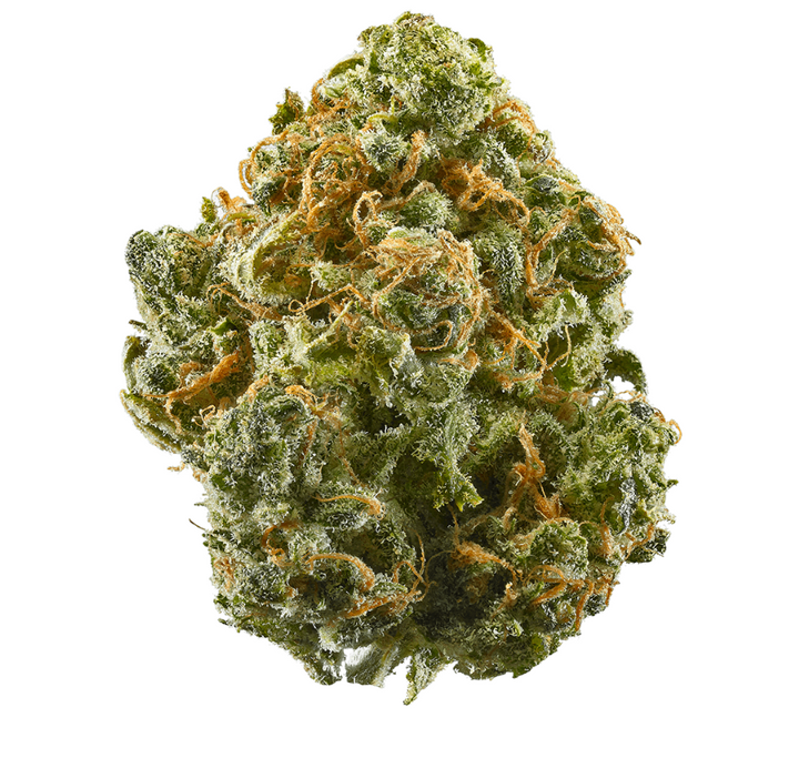 Flower - Candy Paint HYBRID