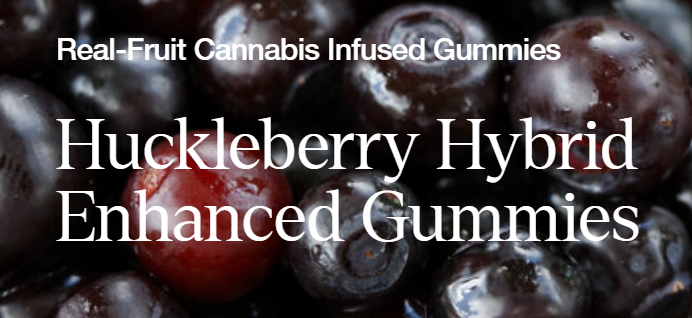 WYLD "Huckleberry Playful" Hybrid Gummy 10ct