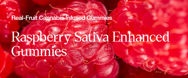 WYLD "Raspberry Active" Sativa Gummy 10ct