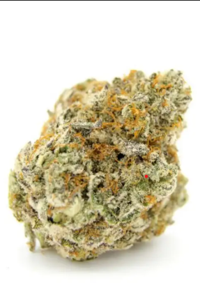 Flower - Forbidden Runtz HYBRID