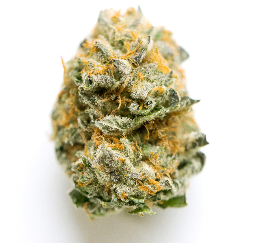 Flower - Pineapple Punch SATIVA