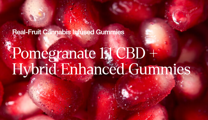 WYLD "Pomegranate Restore" Hybrid Gummy 10ct